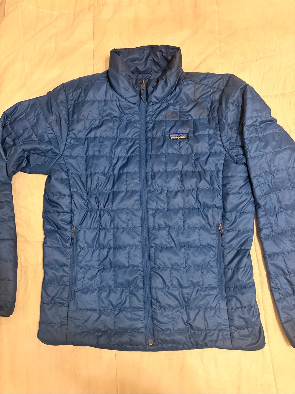 Patagonia Blue puffy